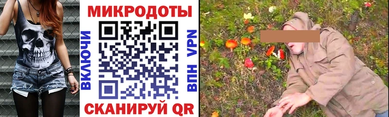 Галлюциногенные грибы Psilocybe  Купить  Ессентуки 